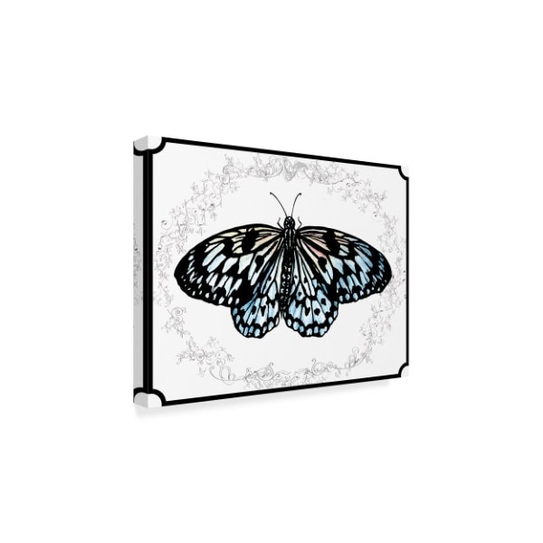 Sher Sester 'Butterfly And Vines Lydiae Nymphaliide' Canvas Art,24x32